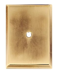 Alno Creations Traditional Backplate 2-5/8" (67mm) in Polished Antique