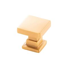 Brighton Square Cabinet Hardware Knob in Brushed Golden Brass, 1 (25.4mm) Inch Overall Diameter