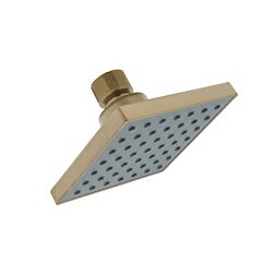 Shower Head with 4"x 4" Face, PVD Satin Brass