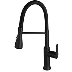 Filo Single Handle Pull-Down Sprayer with Flexible Hose, 2 Function, Solid Brass, Black